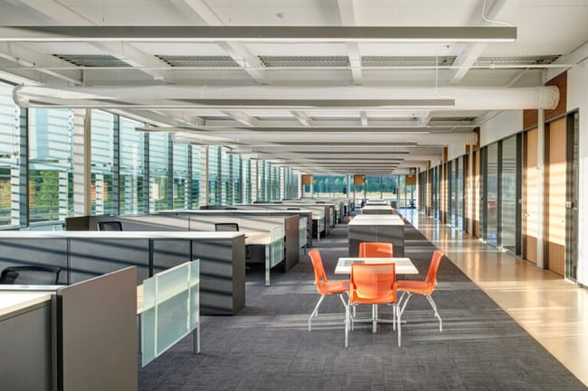 an open office with ample daylight