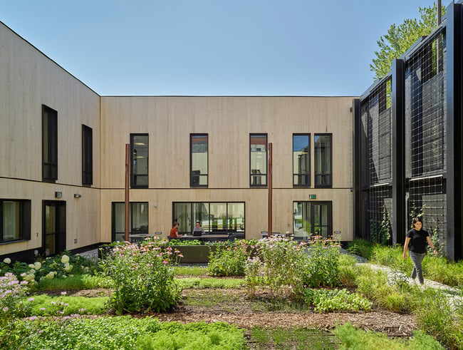 the urban agriculture plot at the Stanley Center for Peace and Security