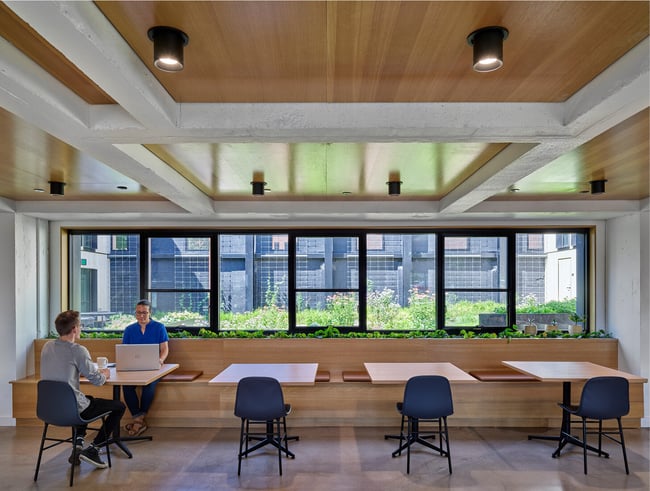 kitchen area in the Stanley Center overlooking the urban agriculture plot