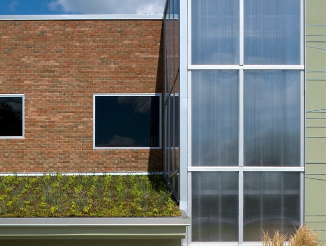 a green roof at Willow Wind Elementary School