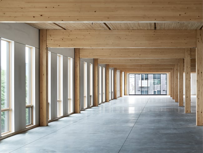 Interior or 111 East Grand, showing Glulam columns