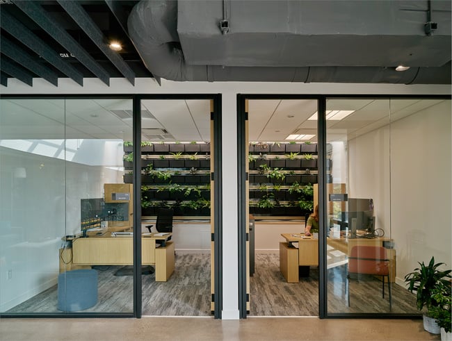 private offices at the Stanley Center with green walls and skylights
