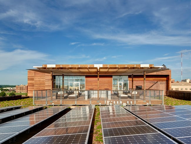 rooftop solar panels on a green roof