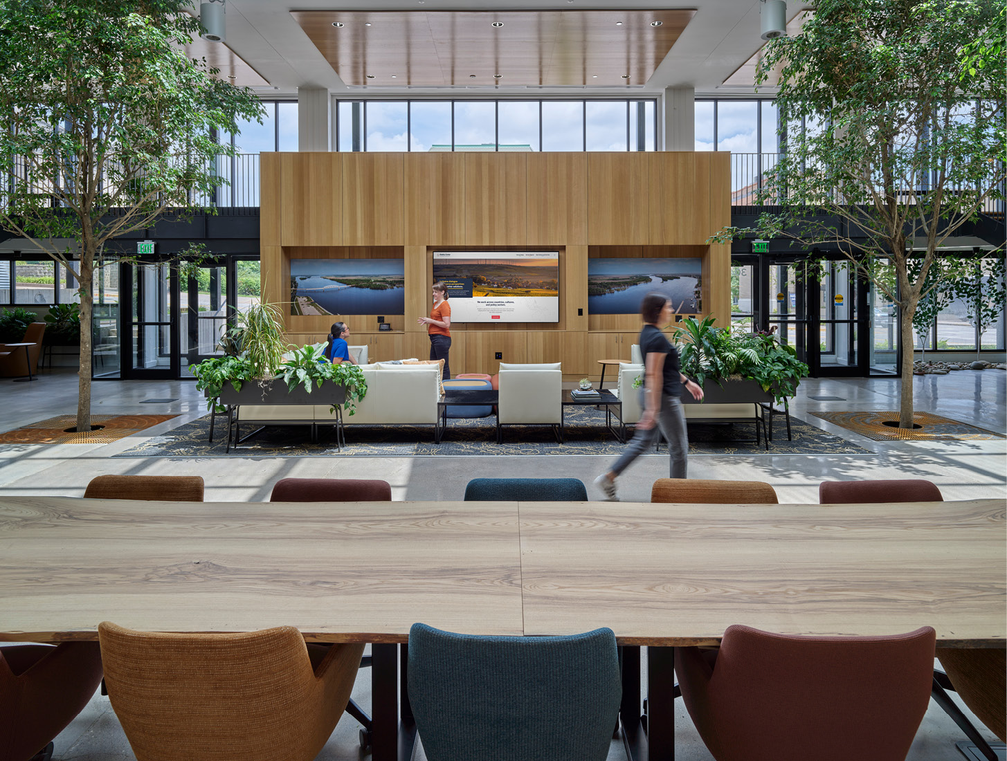 Tips for Incorporating Plants into the Workplace