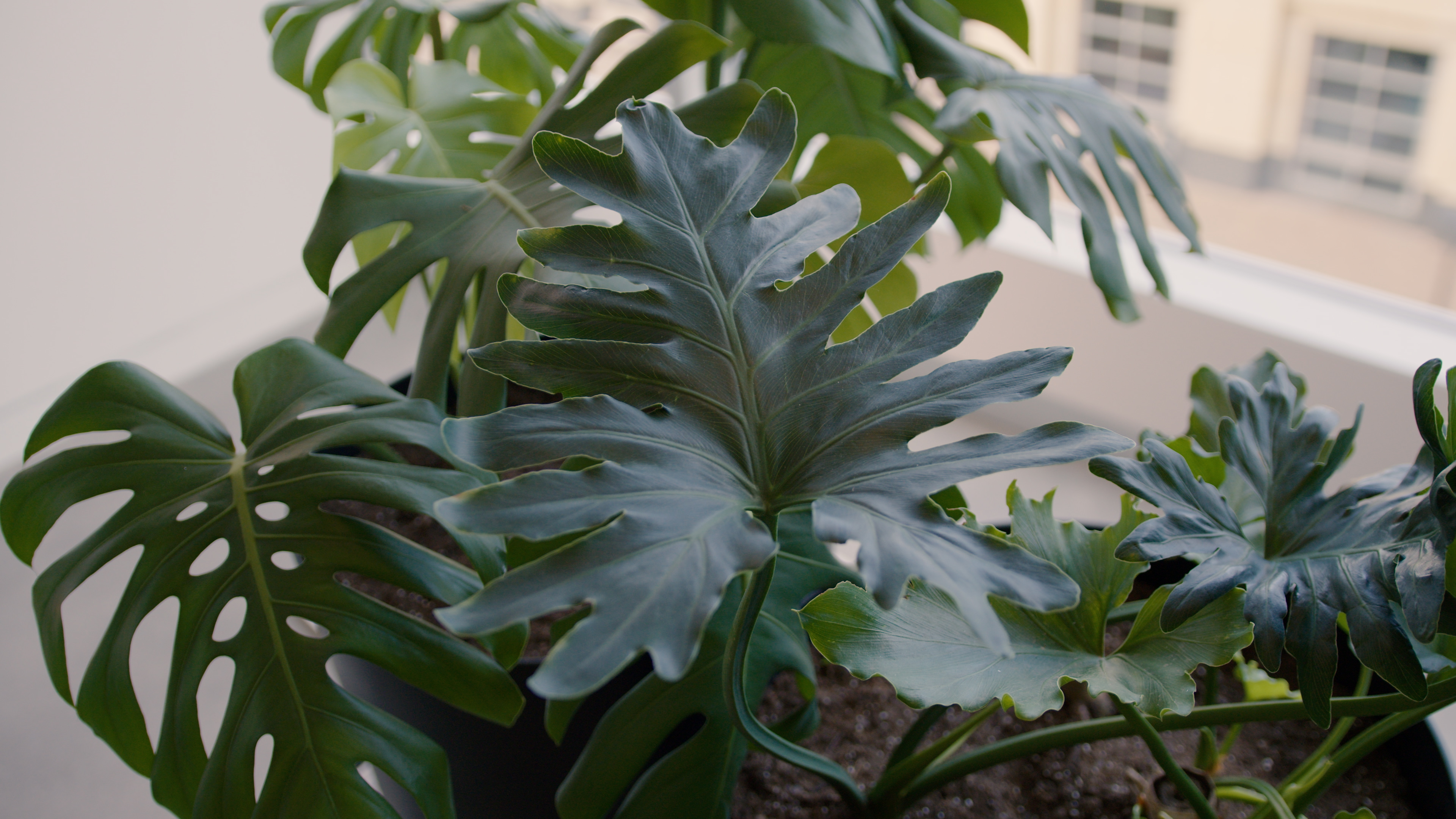 2025 Operational Carbon Footprint Report