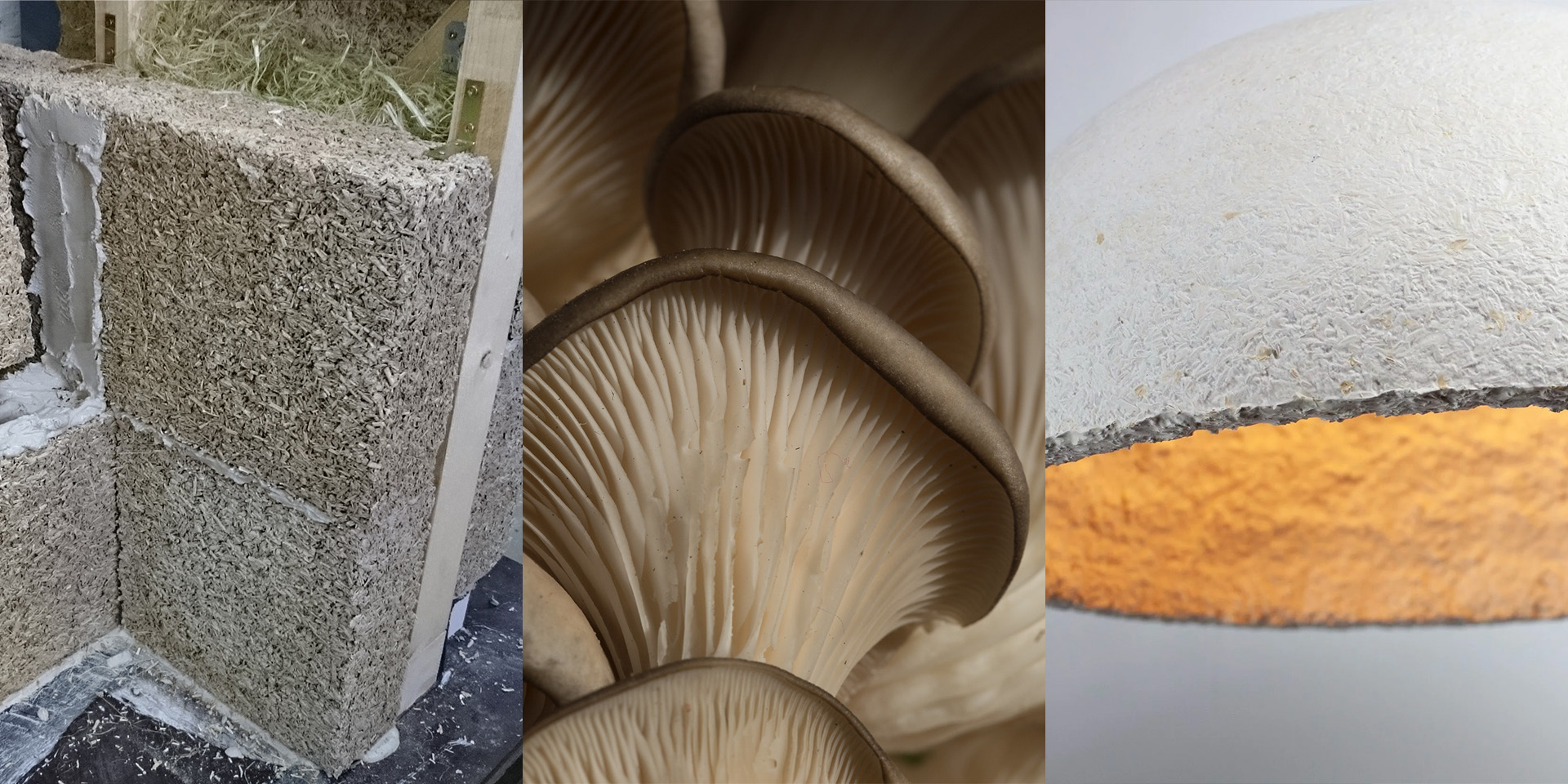 The Futuristic Building Materials Fighting Carbon Emissions – What We’re Excited About in 2026